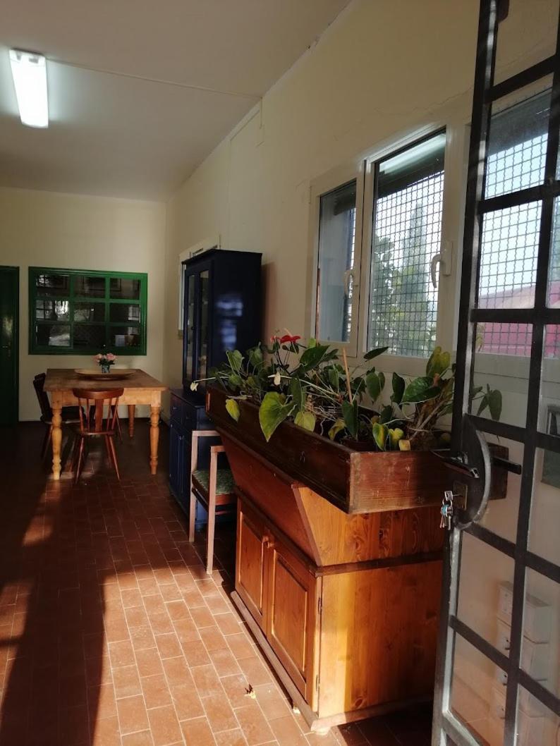 Bb Villa Bolgheri Mare Donoratico Exteriér fotografie