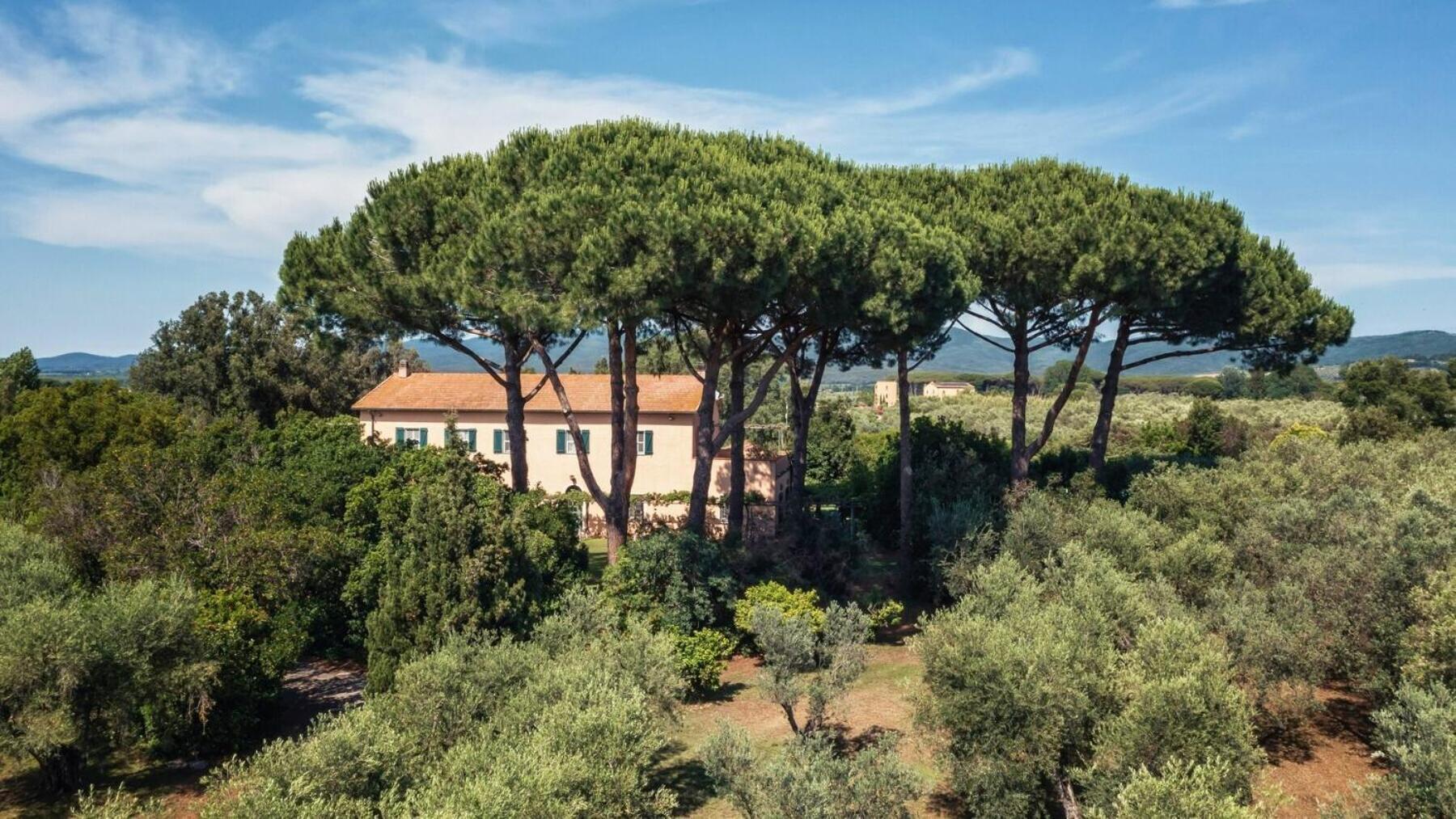 Bb Villa Bolgheri Mare Donoratico Exteriér fotografie